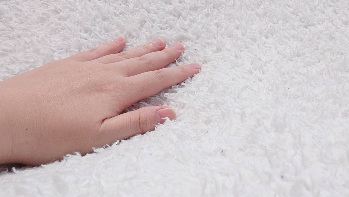 肌さわりの良い画像